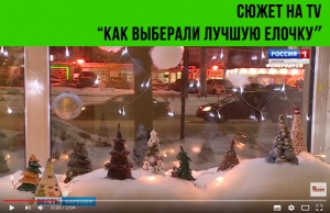 Как выбирали самую лучшую елку страны. 